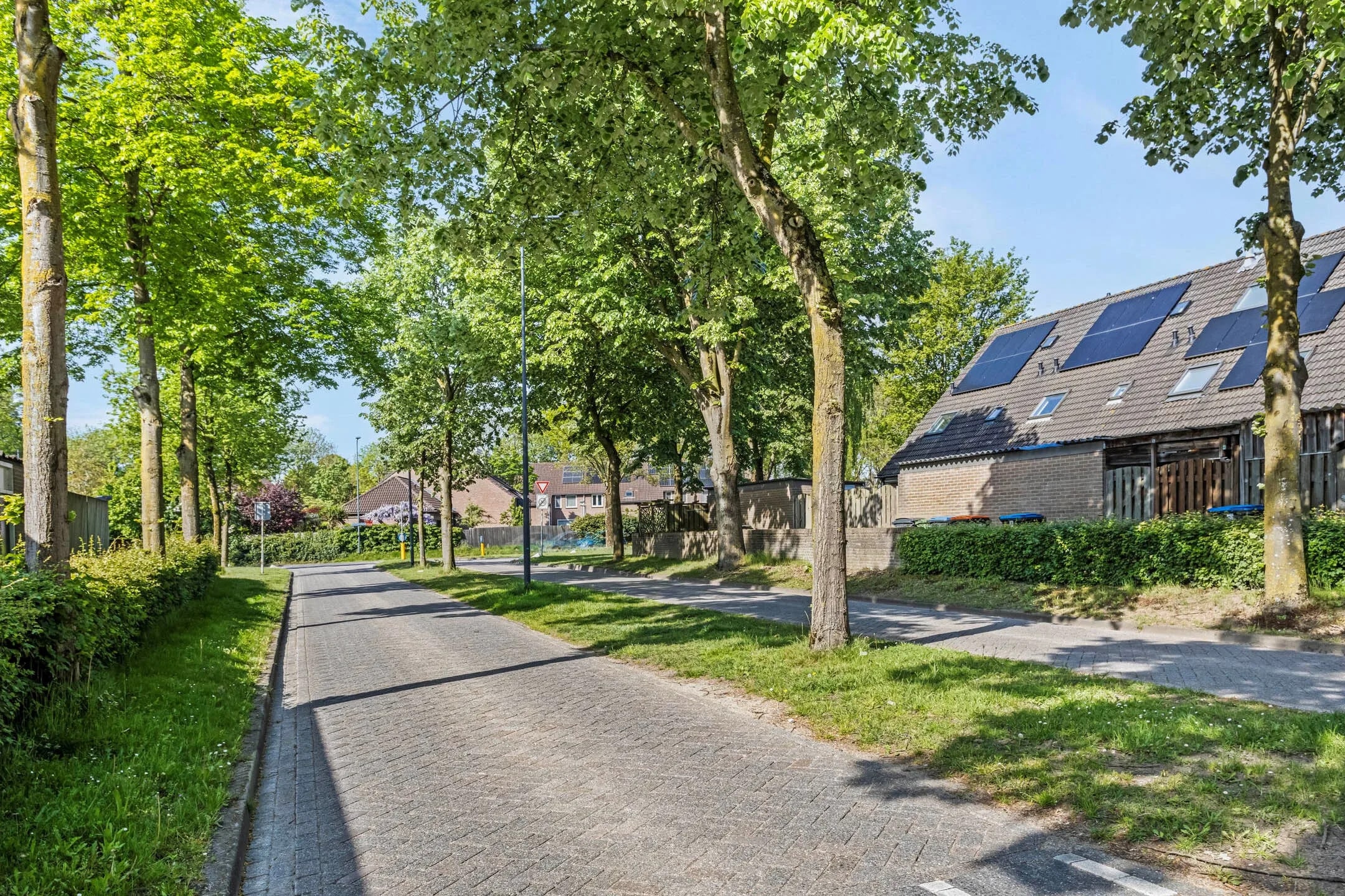 Groene omgeving